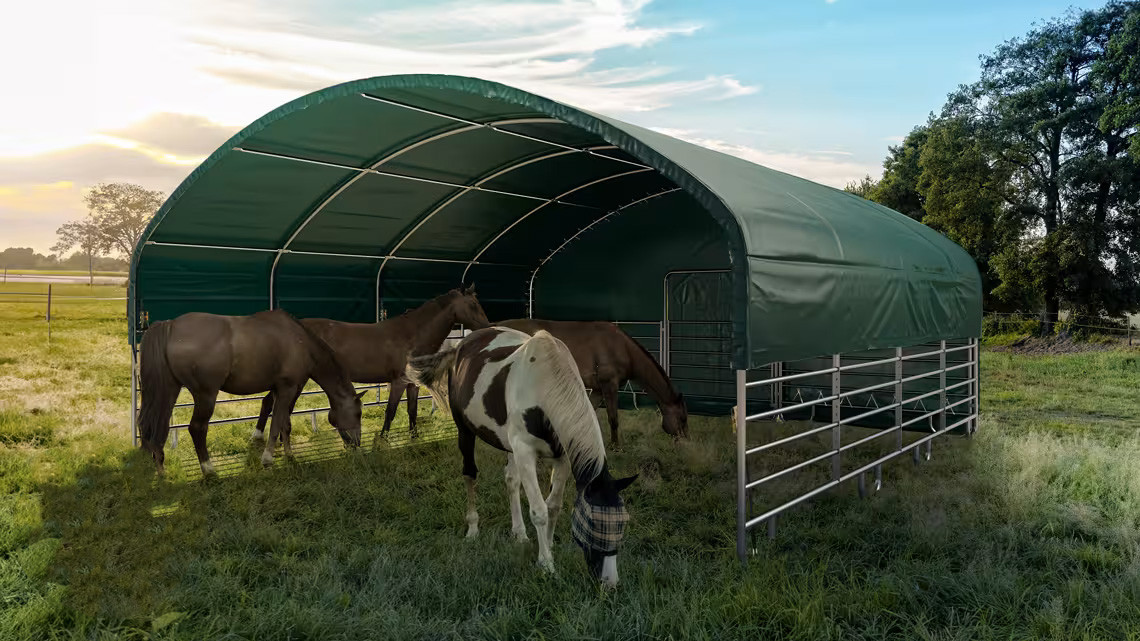 8x8m hobusetelk heinamaale