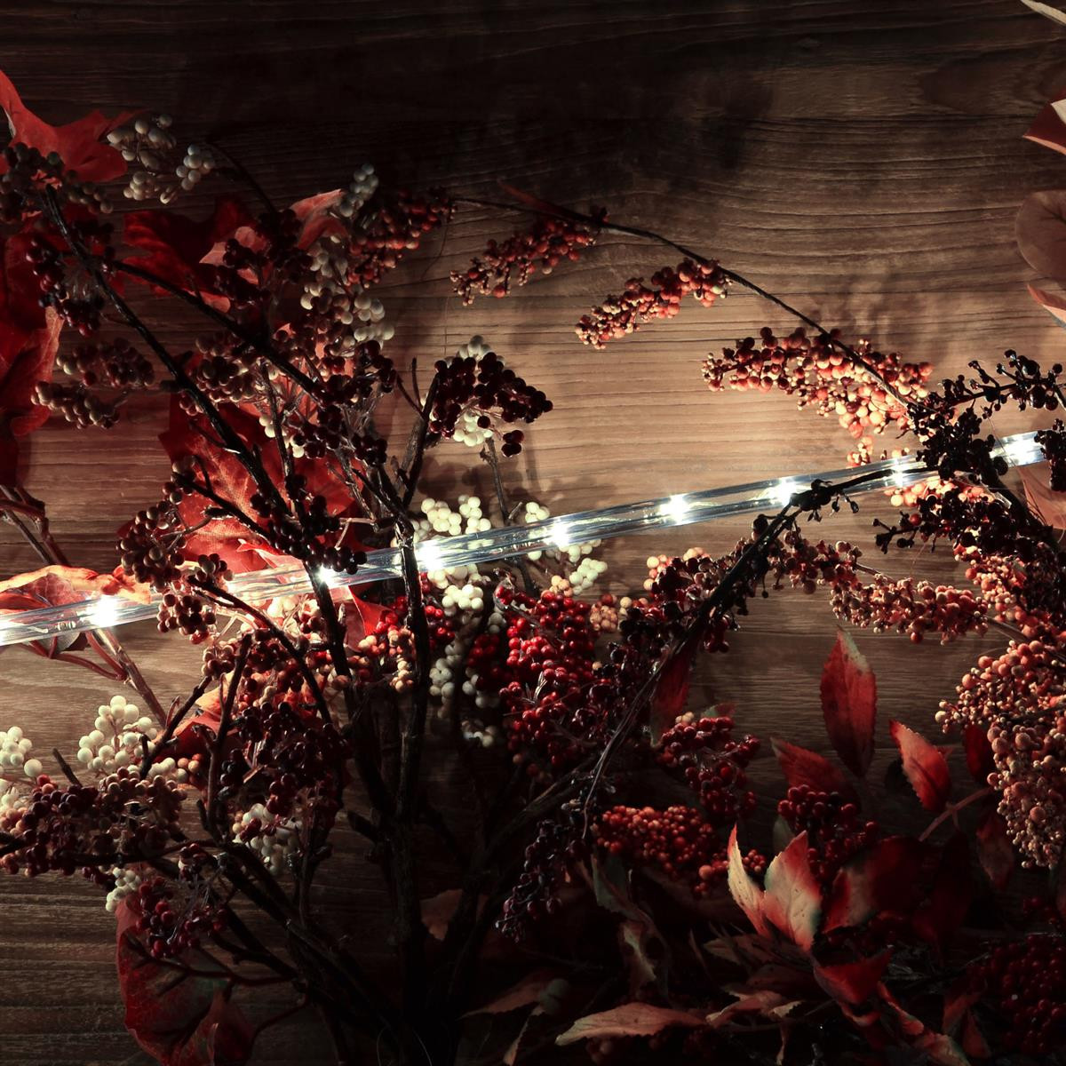 Külm valge valgusvoolik