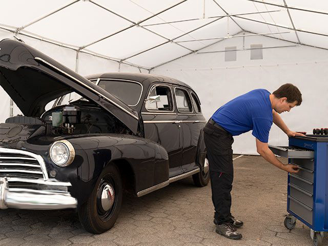 VARIOStore Professional autogaraazh