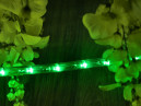 Roheline LED valgusvoolik